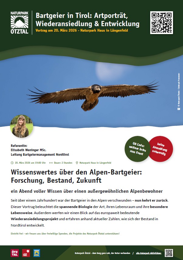 Bartgeier in Tirol: Artporträt, Wiederansiedlung & Entwicklung